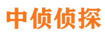 孙吴出轨调查